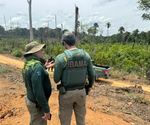 ibama