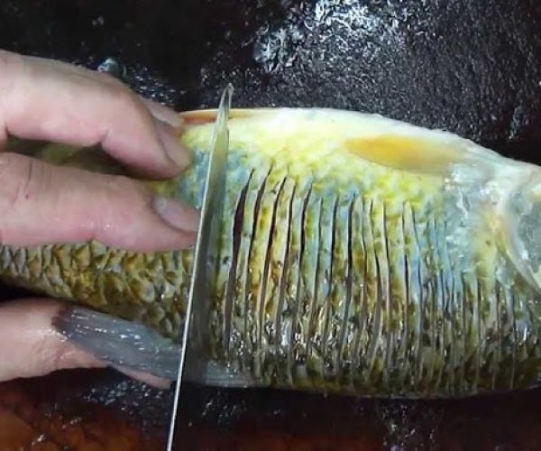 peixe