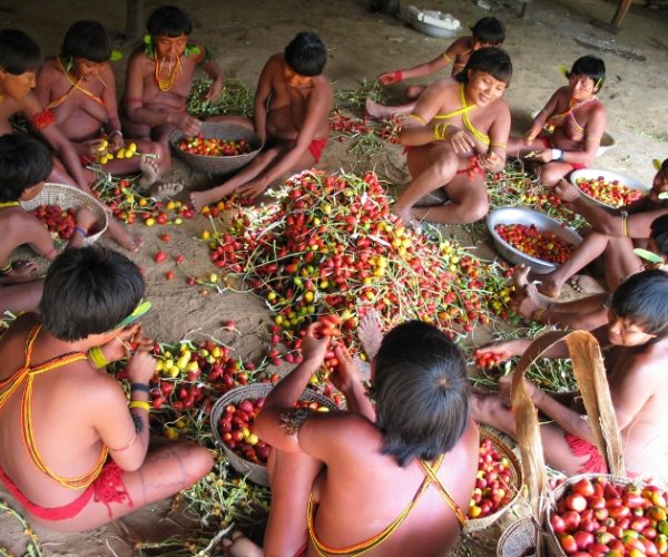 yanomami